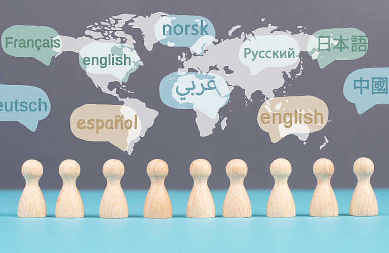 مشروع تطوير أكاديمية تعليمية متخصصة في اللغات